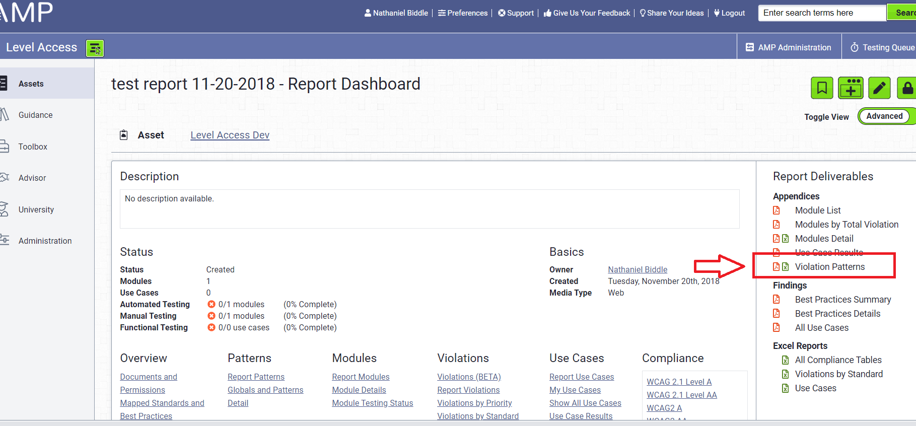 Report dashboard, shows the location of pattern and global appendice download.